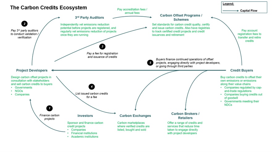 carbon_credits